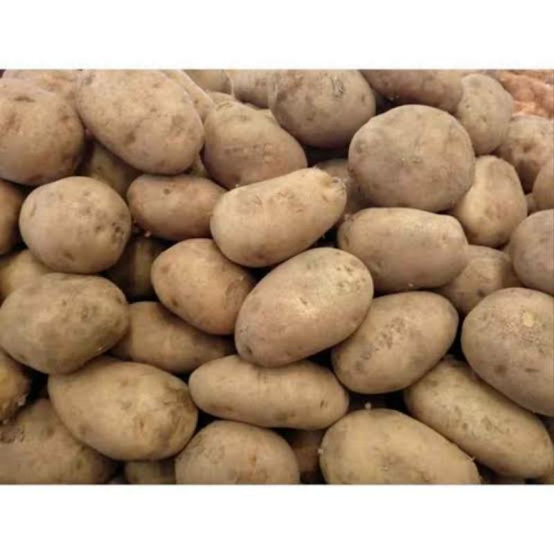 

KENTANG SUPER 1 KG
