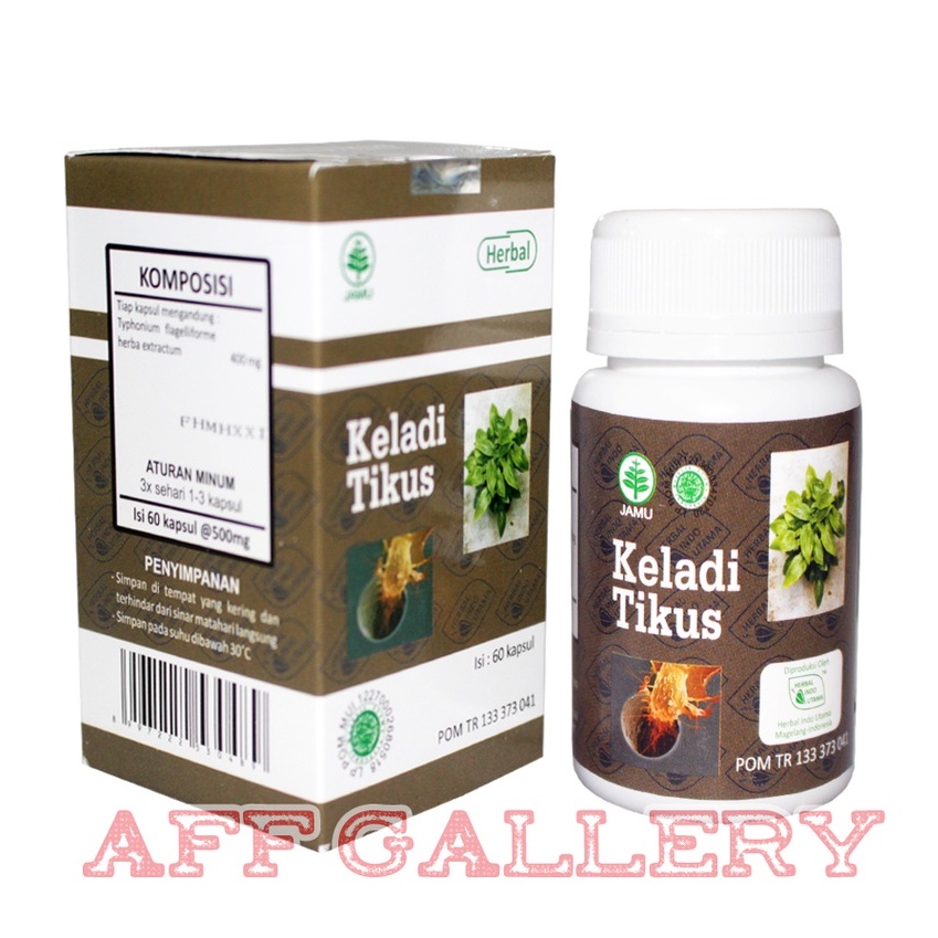 HIU KELADI TIKUS Obat Kanker, Tumor, Kista, Miom | Herbal Keladi Tikus ASLI 60 Kapsul