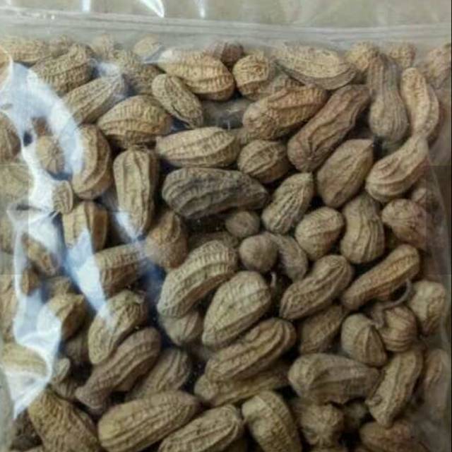 

Kacang Kulit Sangrai