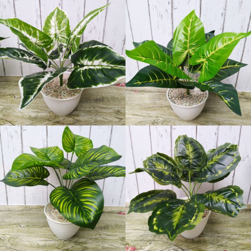 Tanaman daun keladi artificial palsu daun 9 pot 12 cm Tanaman daun keladi artificial palsu daun 9 pot 12 cm