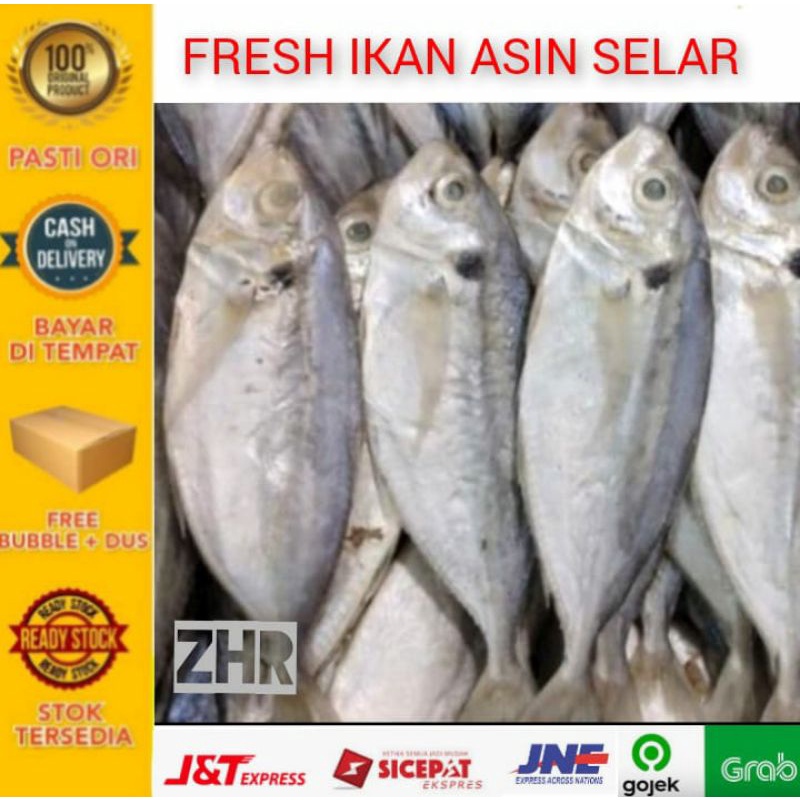 

Ikan asin selar jumbo-500gram - ZHR