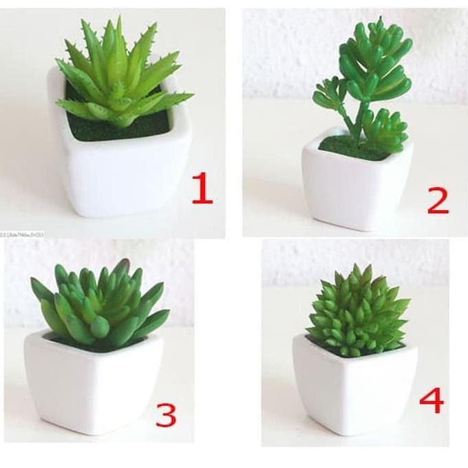 

Terhot! Artificial Cactus/Suculent//Cactus Mini/Kaktus Plastik/Tanpa Mika