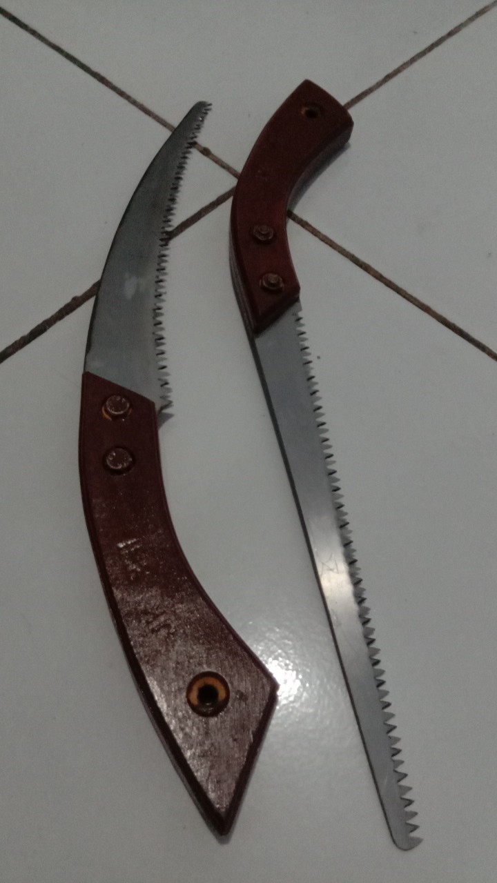 Gergaji Selendang Baru