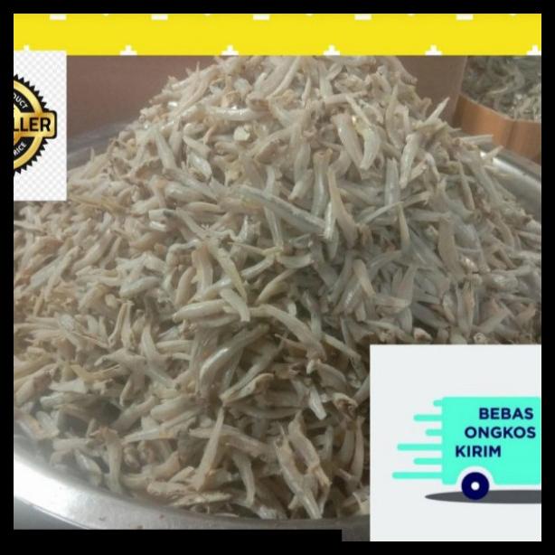

[READY STOCK] IKAN ASIN TERI TN LAMPUNG/ KERING/ RENYAH/ EMPUK/ TANPA BUBUK/ 500 GR