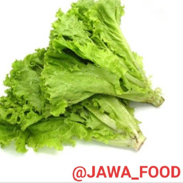 

SLADA AER FRESH {100gr}