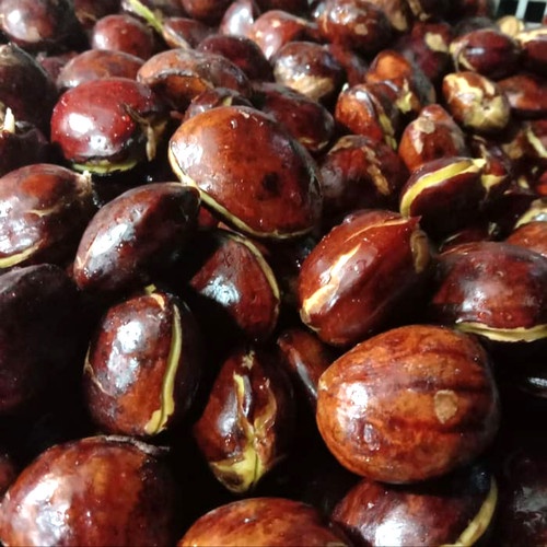 

jengkol pilihan/jengkol tua 500gr