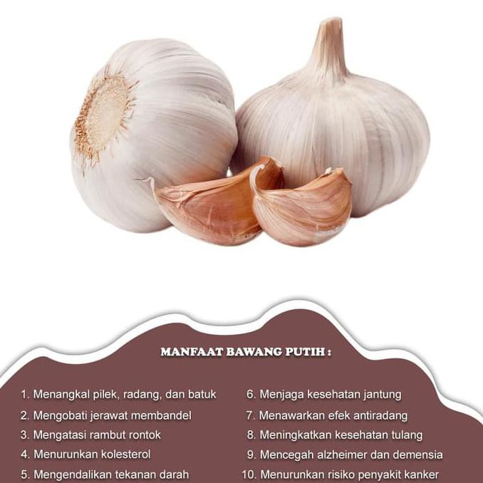 Promo Sayur Segar Bawang Putih 1 Kg Premium Shopee Indonesia Promo Sayur Segar Bawang Putih 1 Kg Premium Shopee Indonesia