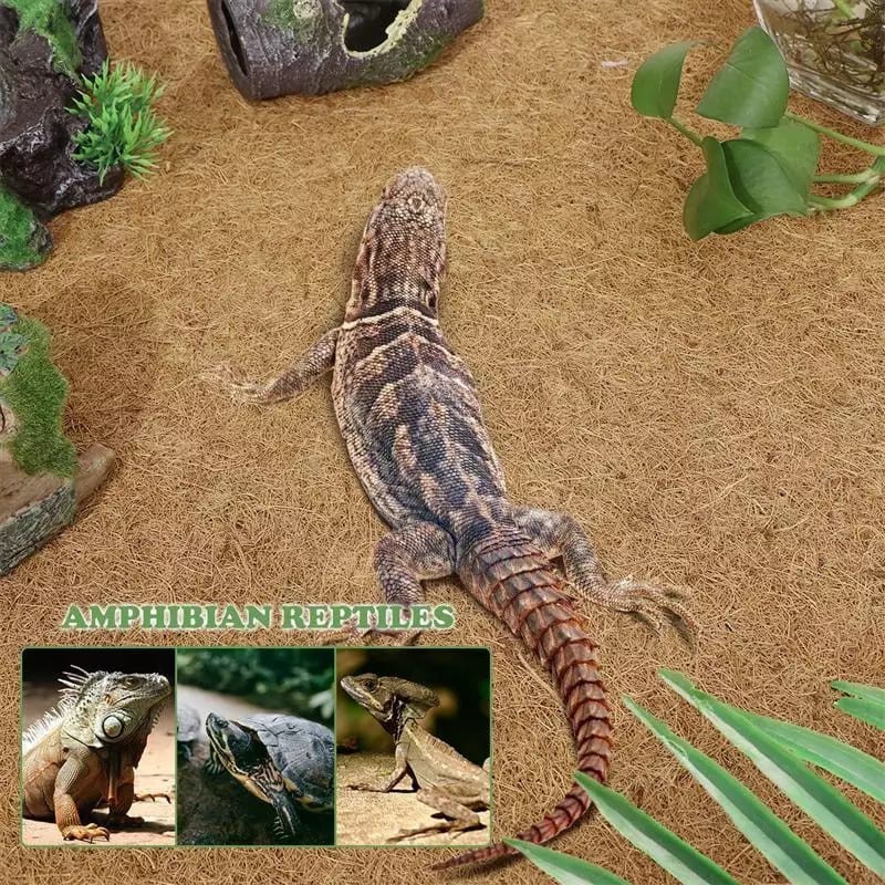 Rabbit Pet Terrarium Substrate Liner for Bearded Dragon Geckos Natural Coconut Fiber Turtles Iguana Lizard Cage Mat Tortoise Bedding JIELISI 3Pcs Reptile Carpet Snake 19.7''x12'' 