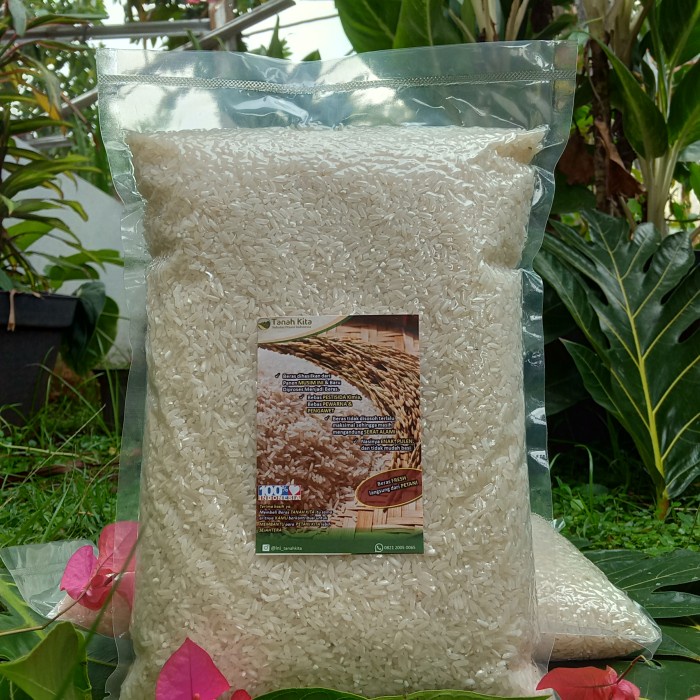 

978Eq1W Beras Sumedang Enak Pulen (2Kg) Fresh Baru Panen Dari Sawah Sendiri WQ012