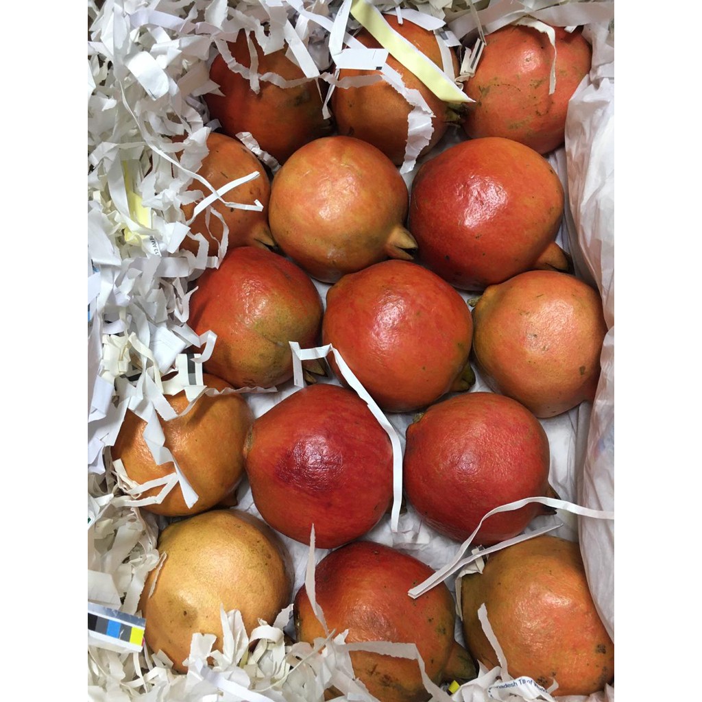 

BUAH DELIMA INDIA