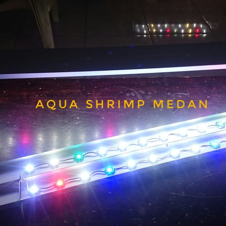 DIY LED AQUASCAPE / LED AQUARIUM