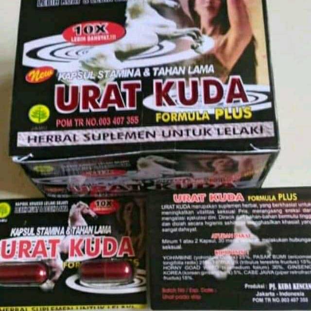 Urat kuda blister original