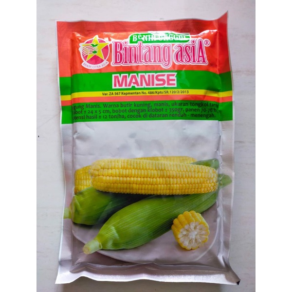 isi 250 gr Benih bibit jagung manis MANISE / Biji Jagung Manis / Jagung Manis