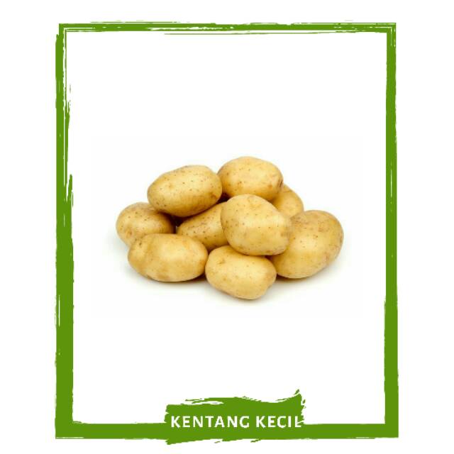 

Kentang Ukuran Kecil / Sayur Sayuran Segar By Mallahrizwa