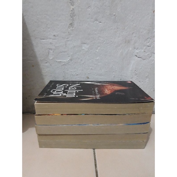 Koleksi Novel terjemahan Fantasi-Paranormal By Sherlyn Kenyon, Nalini Sing dan Annaliese evans-6