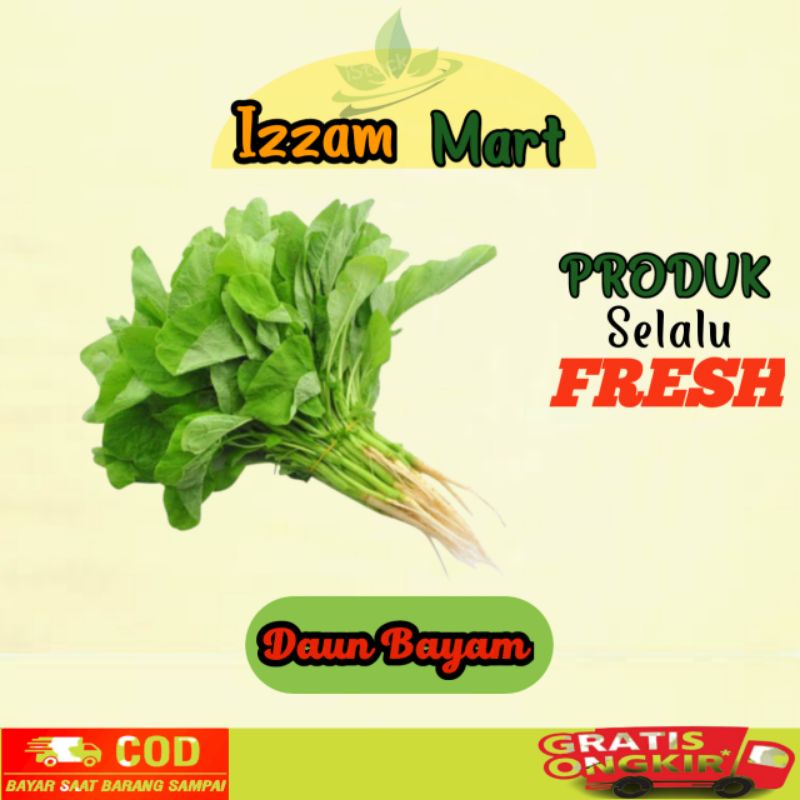 

bayam sayuran bayam satu ikat sayuran segar fresh sayuran online