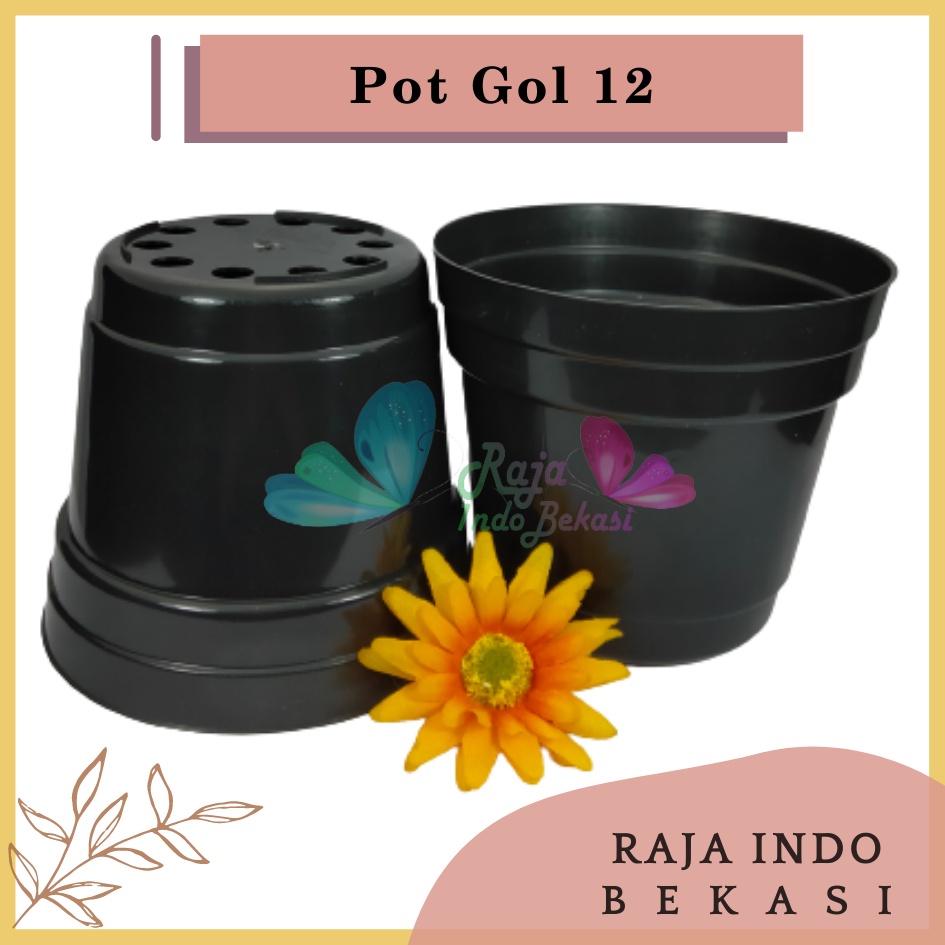 Pot 12 Cm Hitam Polos - Pot 12 Hitam Kecil Mini Minimalis Plastik Kaktus Sukulen Mini Murah Pot Bibit Pembibitan