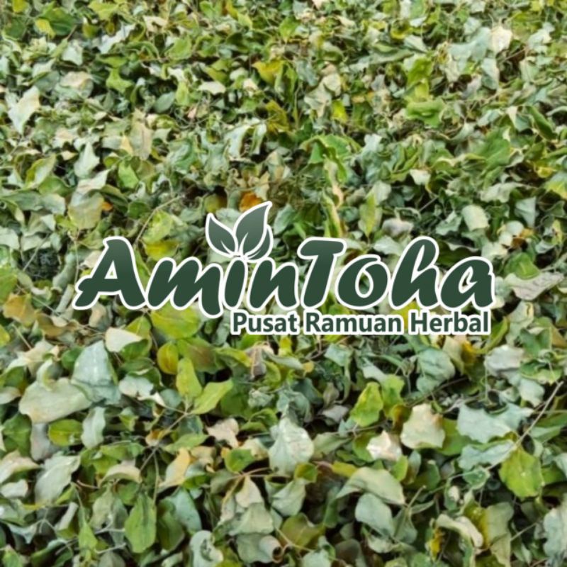 Daun Kelor Kering 1kg Daun Kelor kering