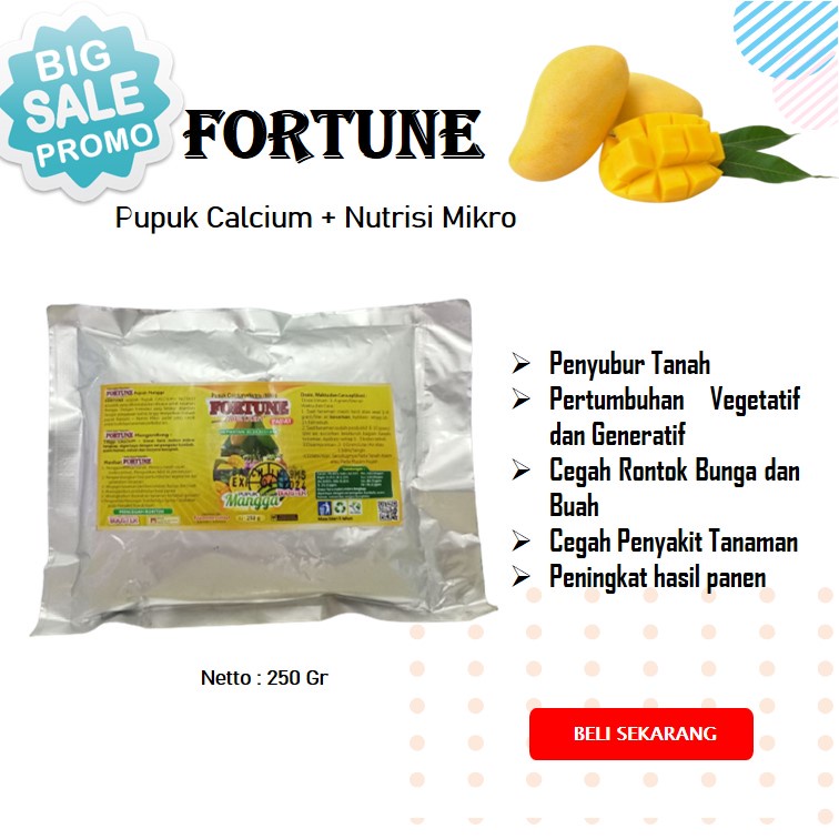 Pupuk booster mangga, Pupuk mangga cepat berbuah lebat