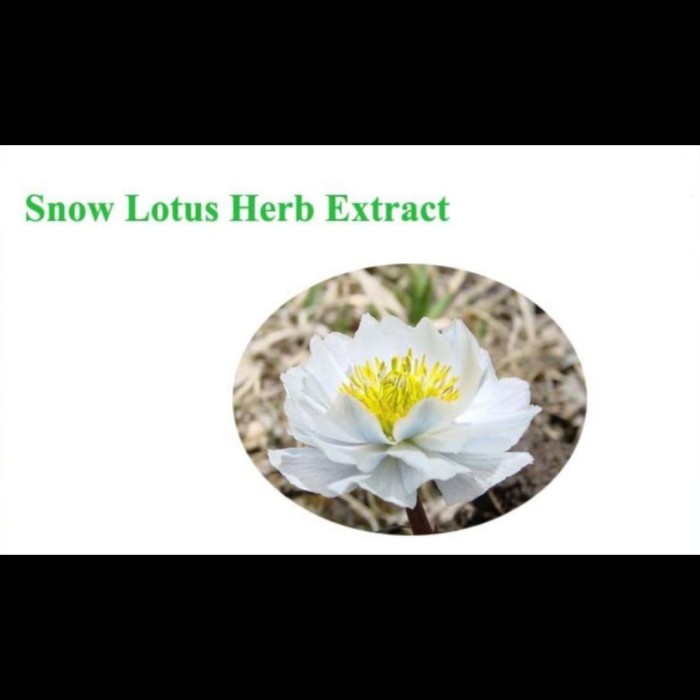 

Snow Lotus Extract Liqui 50Ml/Cosmetic Grade