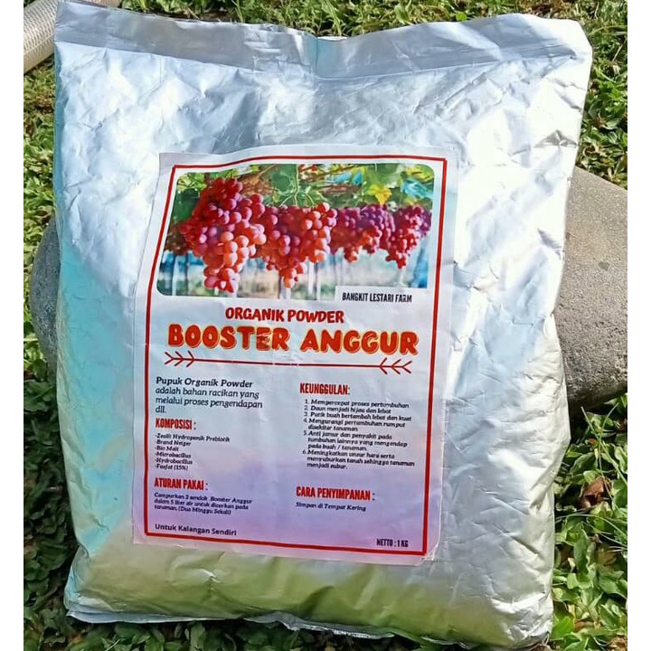 booster anggur,pupuk anggur,masa pertumbuhan