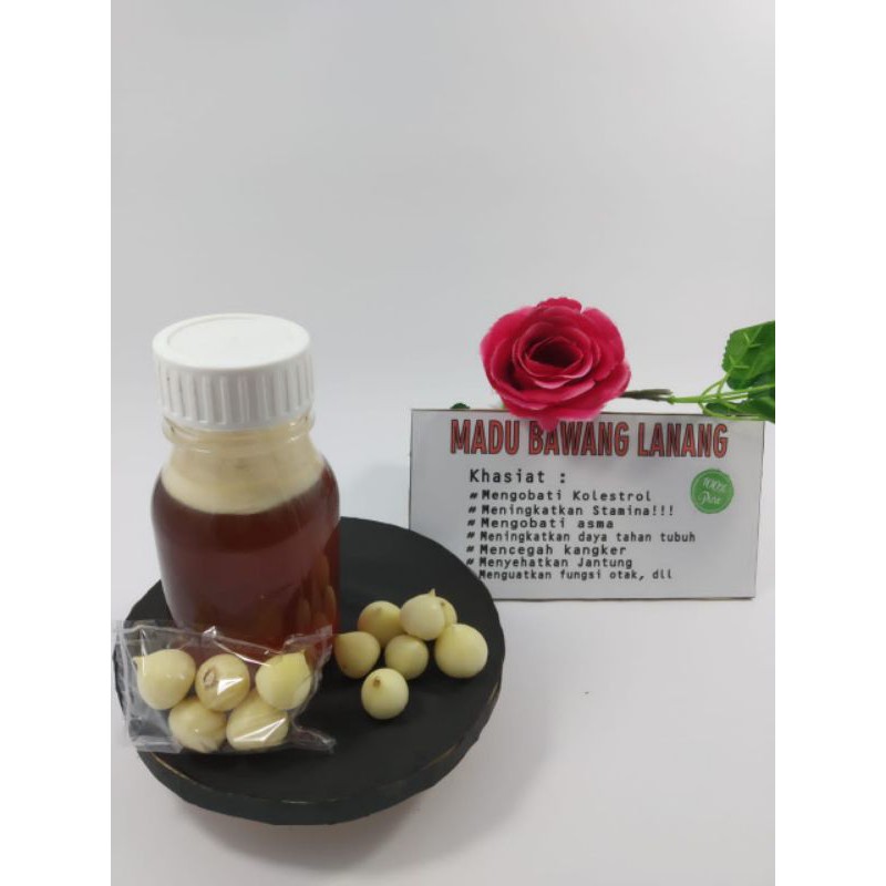 

Madu bawang lanang