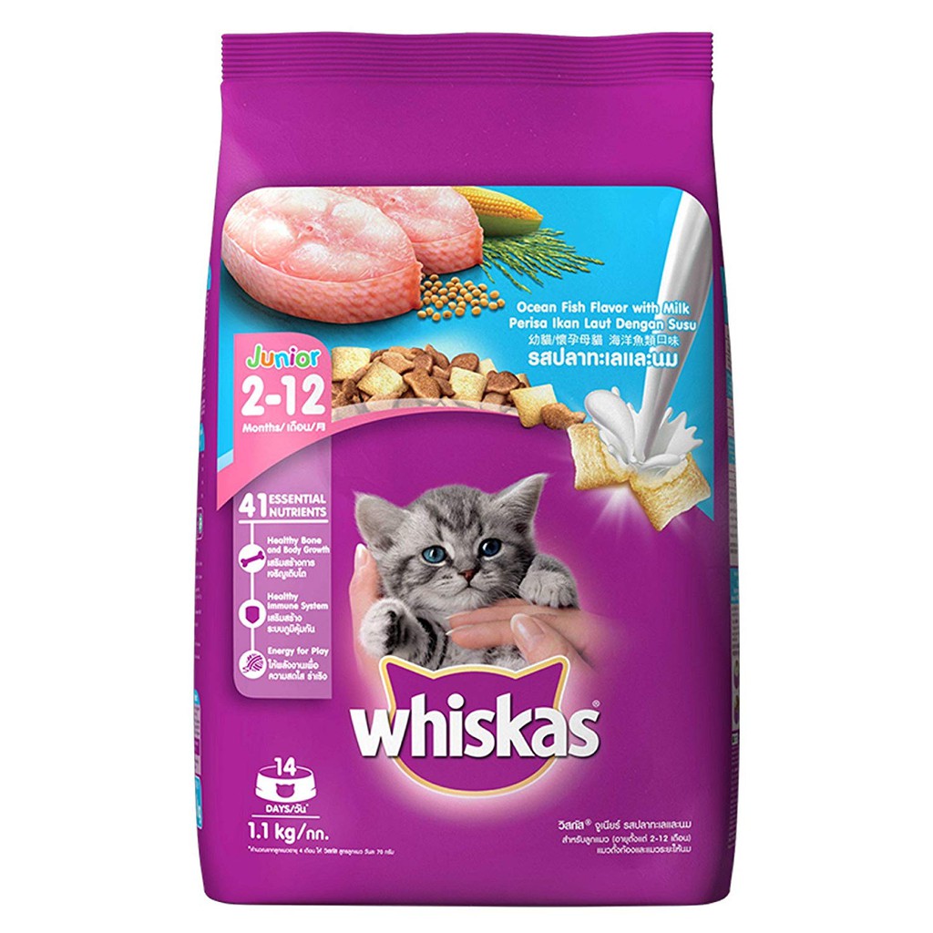 Makanan Kucing Whiskas Junior Dry Food Ocean Fish 1,1Kg