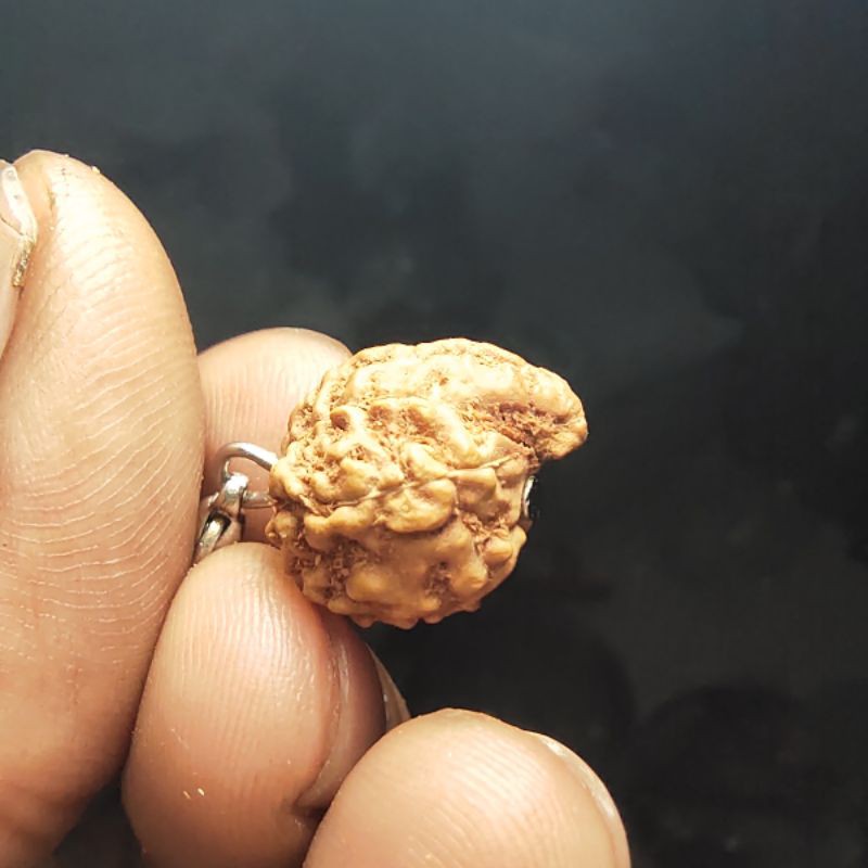 liontin rudraksha jenitri ganesha original java