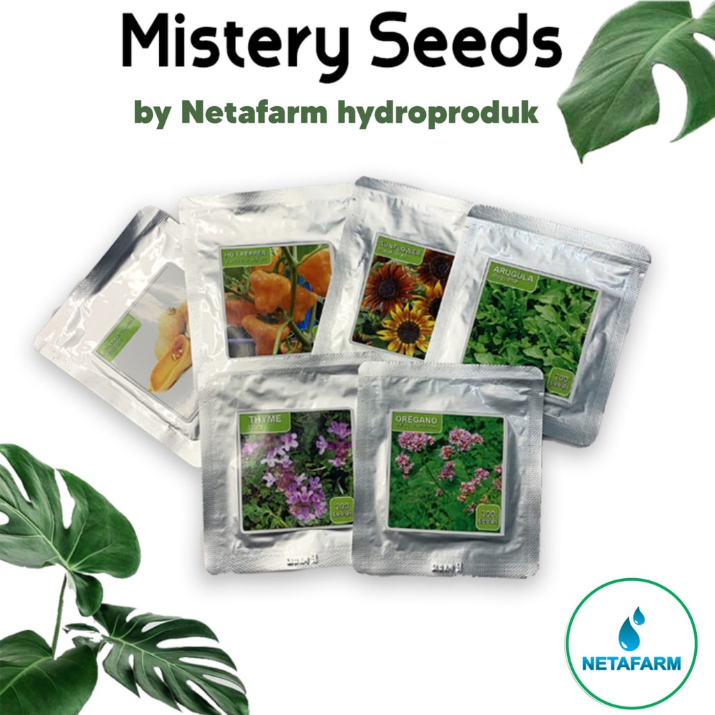 Mistery seed