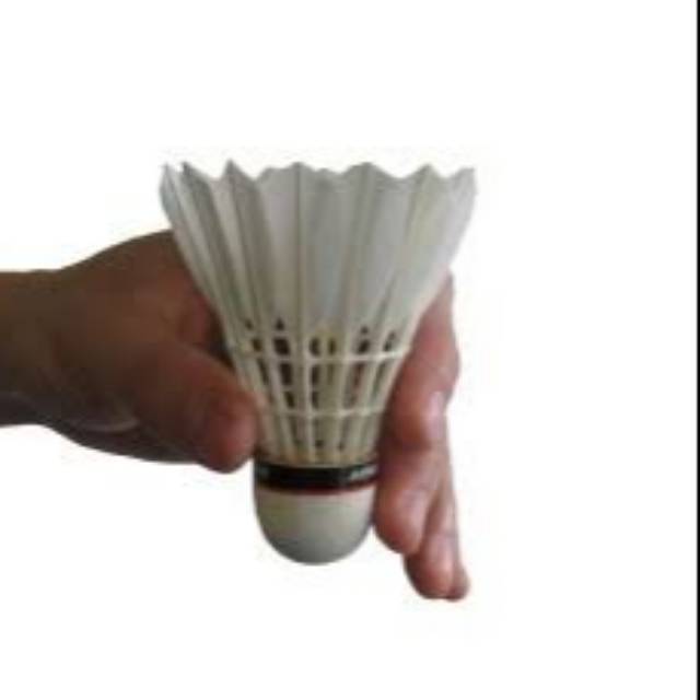 Shuttlecocks badminton