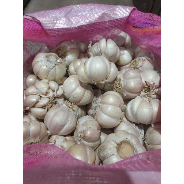 

Bawang Putih Banci Bersih