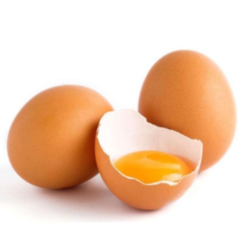 

TELOR