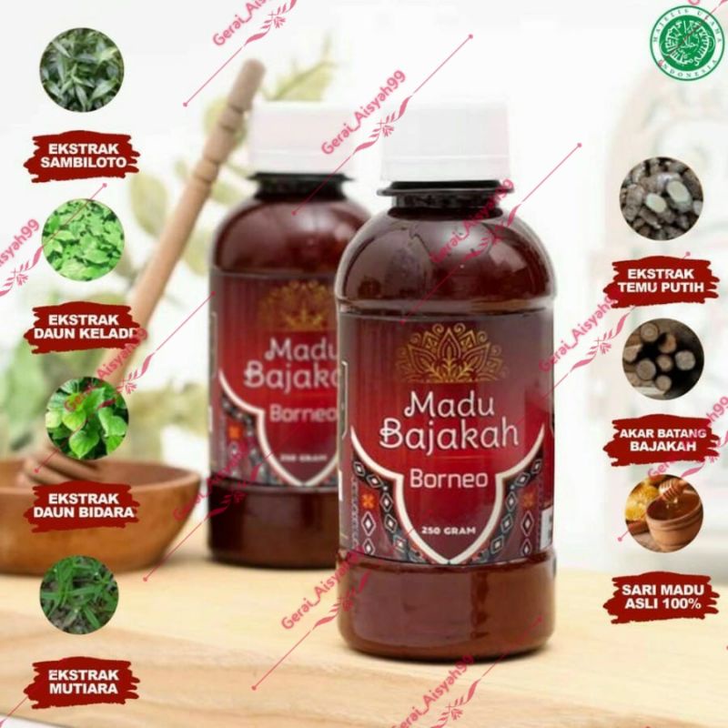 

MADU BAJAKAH BORNEO