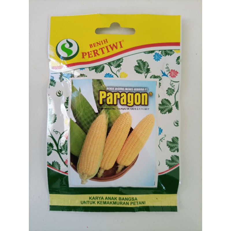 BENIH PERTIWI - JAGUNG MANIS PARAGON