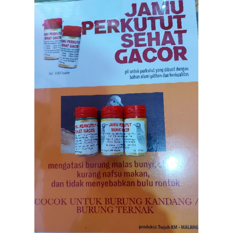 jamu perkutut sehat gacor teguh km pil perkutut sehat gacor teguh km