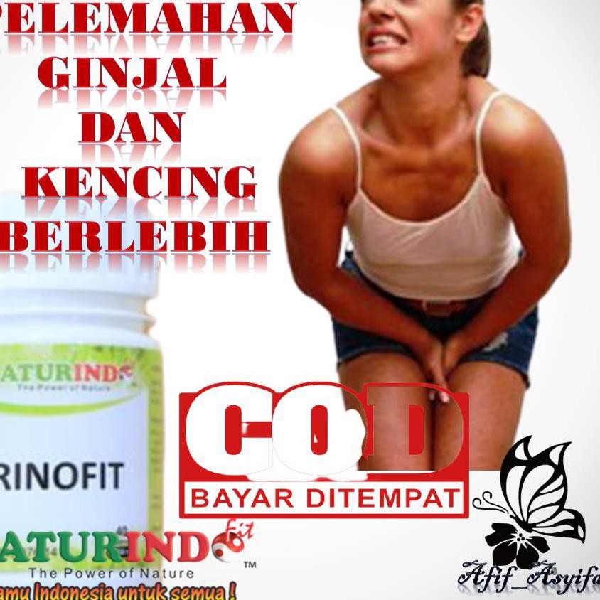 Terbaru - OBAT NGOMPOL OBAT NGOMPOLAN OBAT NGOMPOL ANAK OBAT NGOMPOL DEWASA OBAT GINJAL OBAT DIABETE