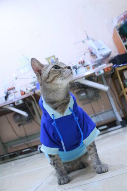 Kaos hoodie mixmax lucu untuk kucing dan anjing / baju kucing murah / baju size S M L XL