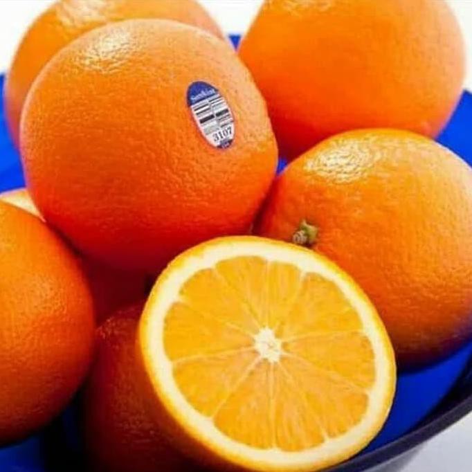 juz Paket 3 bibit tanaman hidup buah jeruk sunkist