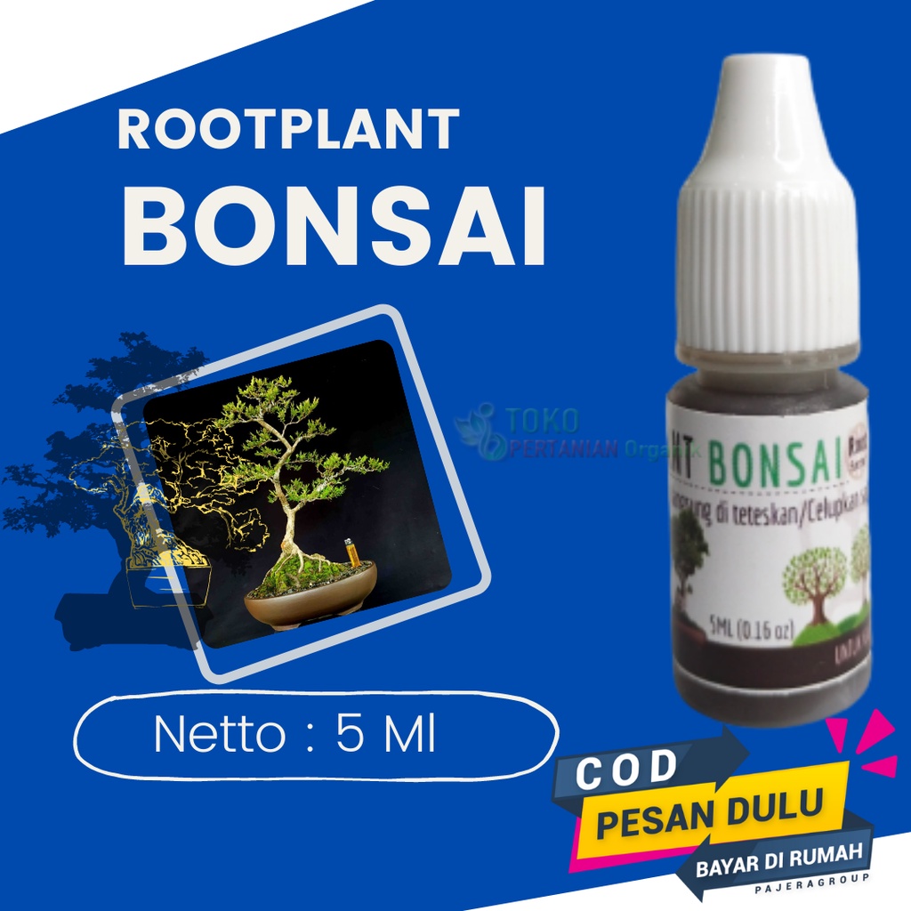 Nutrisi untuk tanaman bonsai  CENDRAWASIH, Pupuk Hormon bonsai beringin berdaun lebat