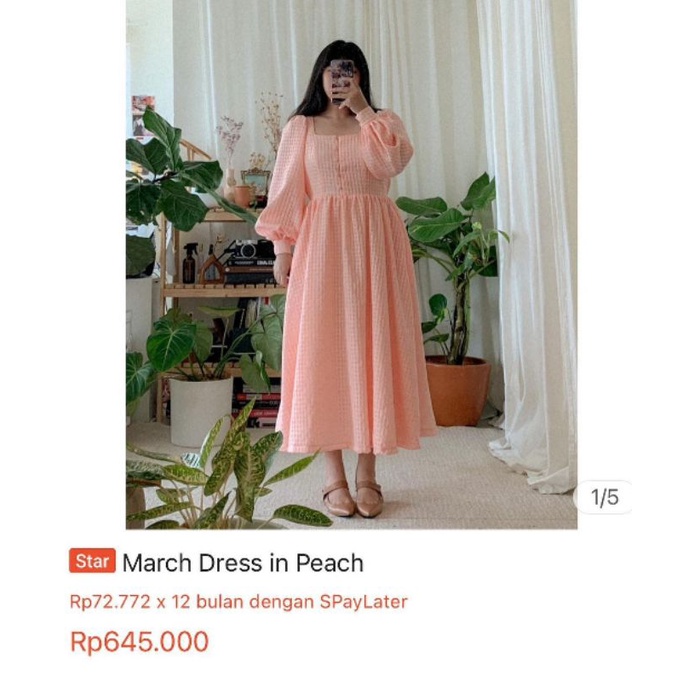 March Dress in Peach (NEW) | i.am.starry