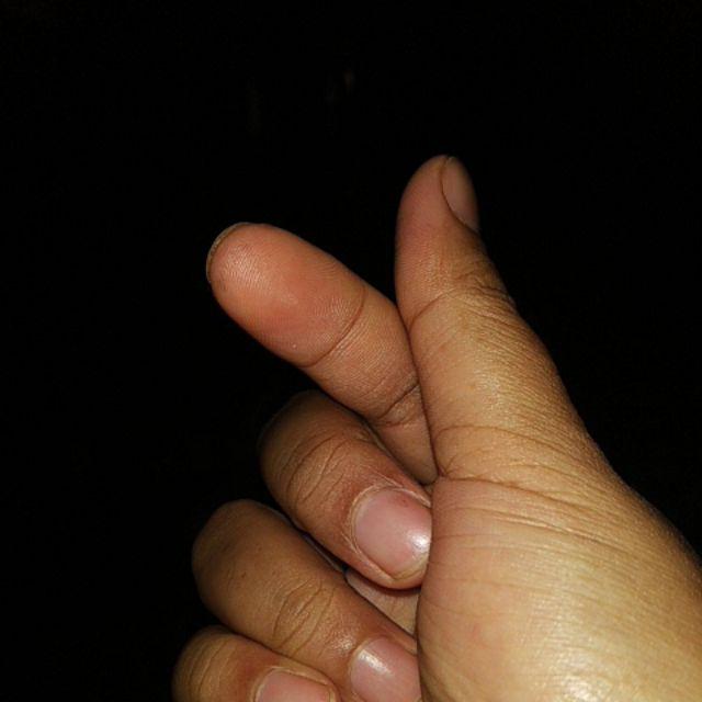 Cetakan Kue Mawar Warna Warni Per Lusin