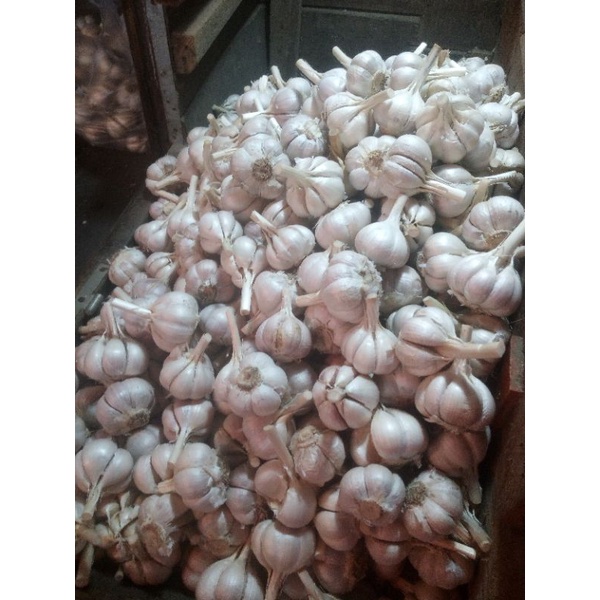 

BAWANG PUTIH KATING per Kg