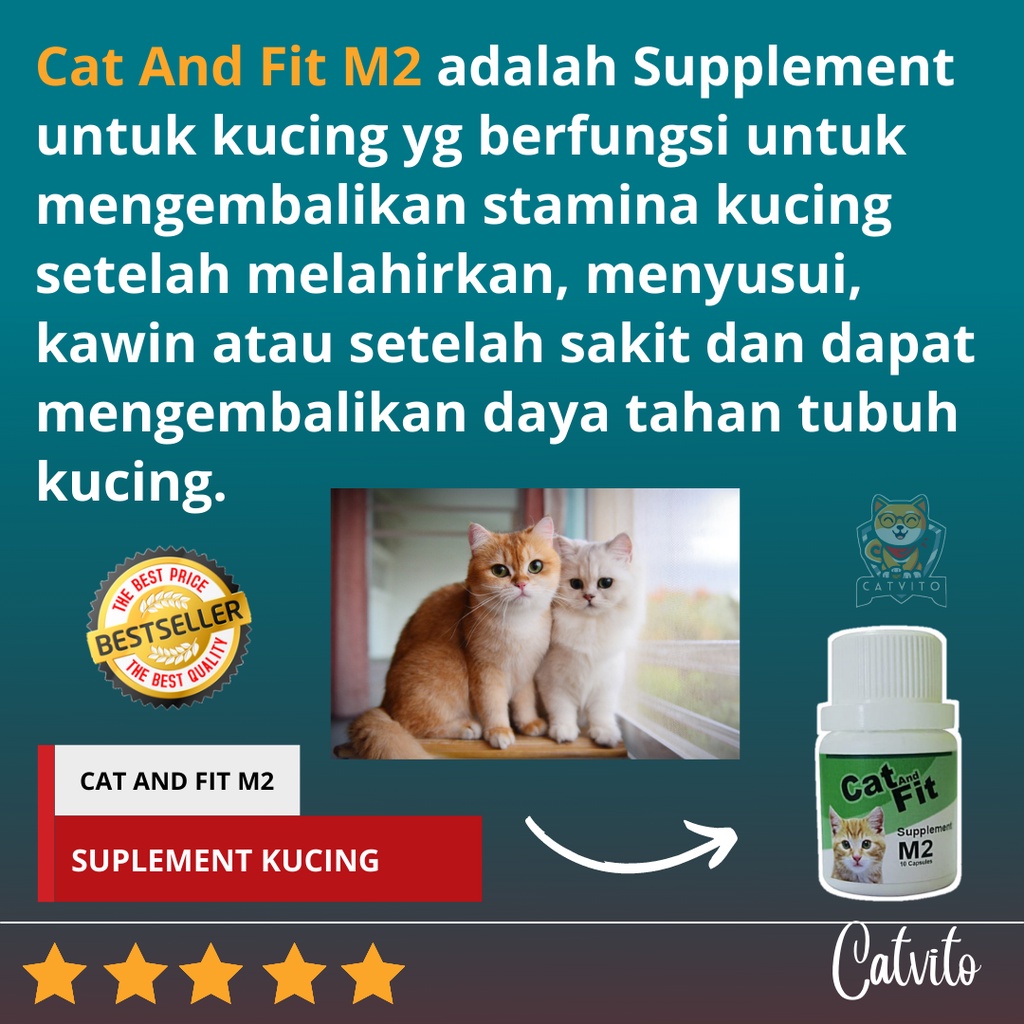 Suplemen Vitamin Untuk Mengembalikan STAMINA KUCING setelah sakit, operasi, hamil dan melahirkan