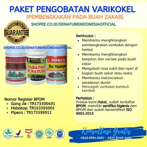 Pengobatan Herbal Varikokel(Pembengkakan Buah Zakar)-De Nature