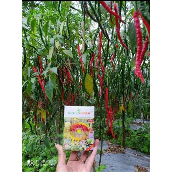 pupuk greenstar nasa