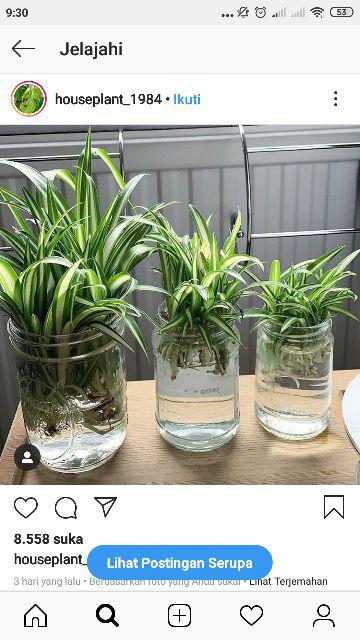 Ss Sprei  Fata 180 Mix Motif 180X200 King Size No 1 Murah 