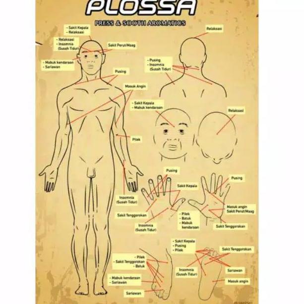 Plossa 1 hanger isi 6pcs 6J5