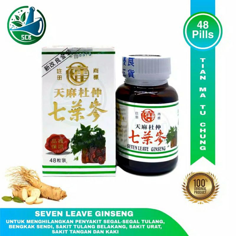 Seven Leave Ginseng / Tian Ma Tu Chung - Obat Rematik & Asam Urat