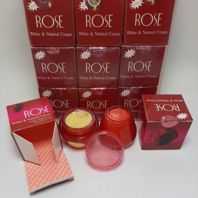 CREAM ROSE ORIGINAL POT TIMBUL LUSINAN