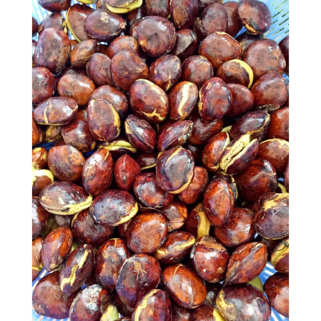 

PASAR ONLINE MURAH - JENGKOL TUA